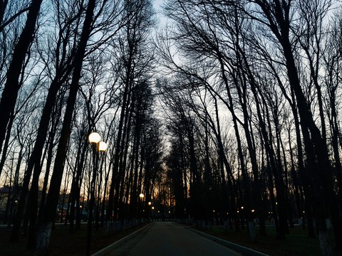 Сold spring evening