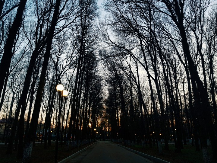 Сold spring evening