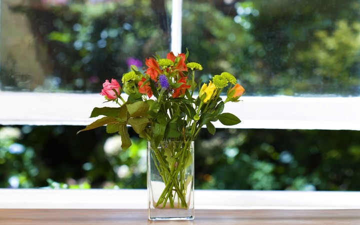 Herbs Flowers Bouquet Window Sill Window Vase