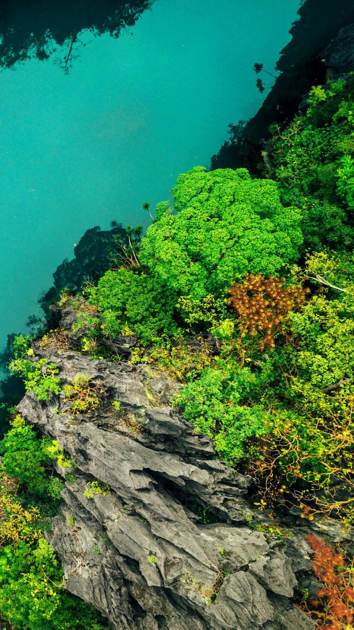 green