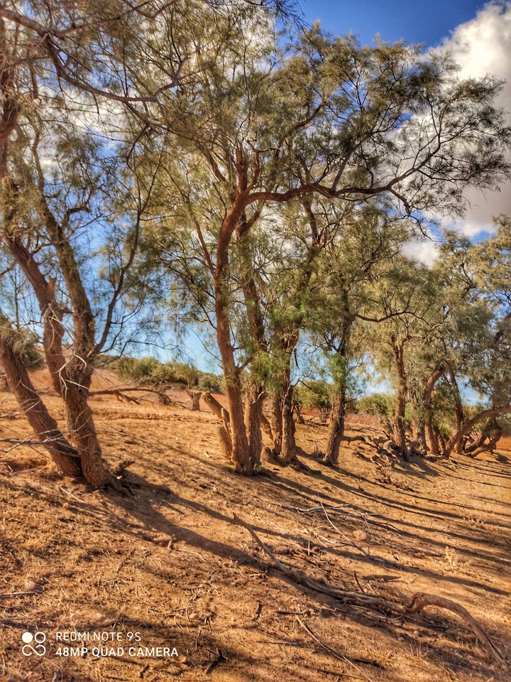 nature ⁦❤️⁩
