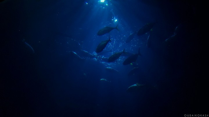 underwater