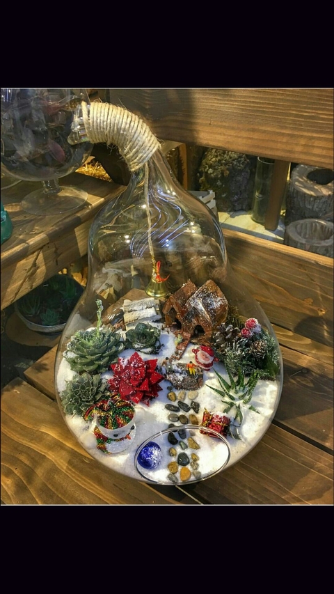 Cactus