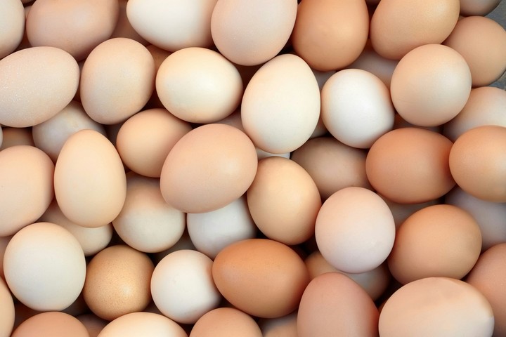 Eggs
