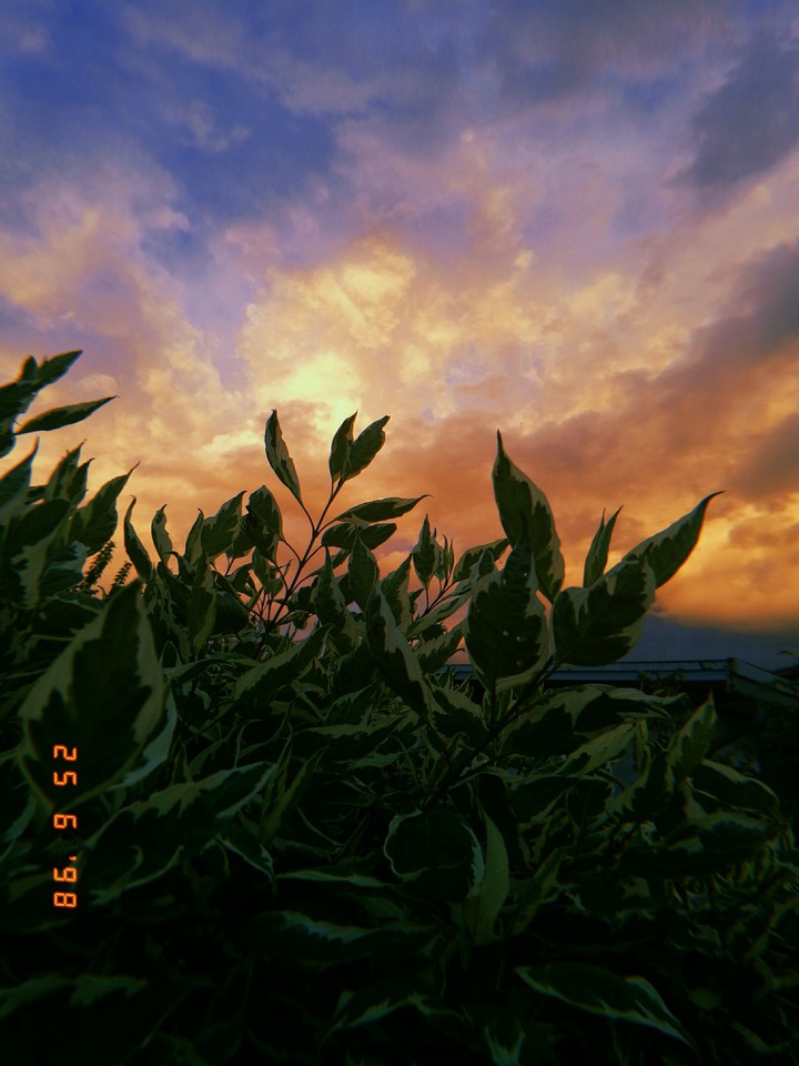 Tramonto rosso