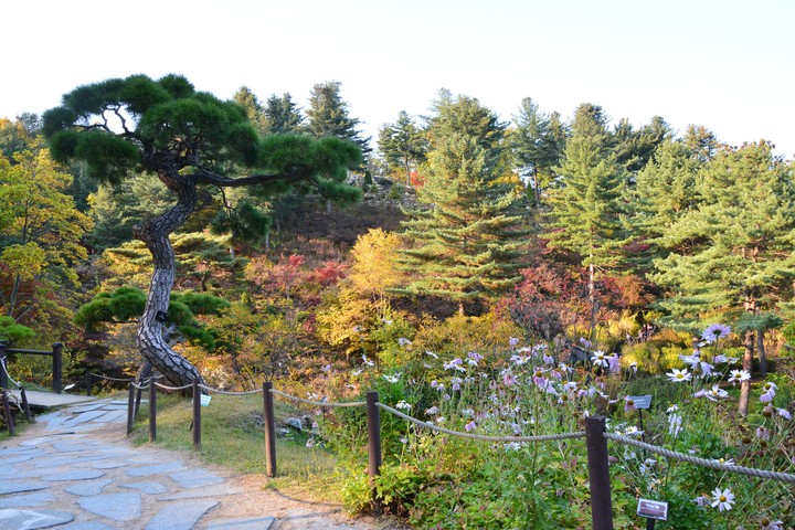수목원이미지