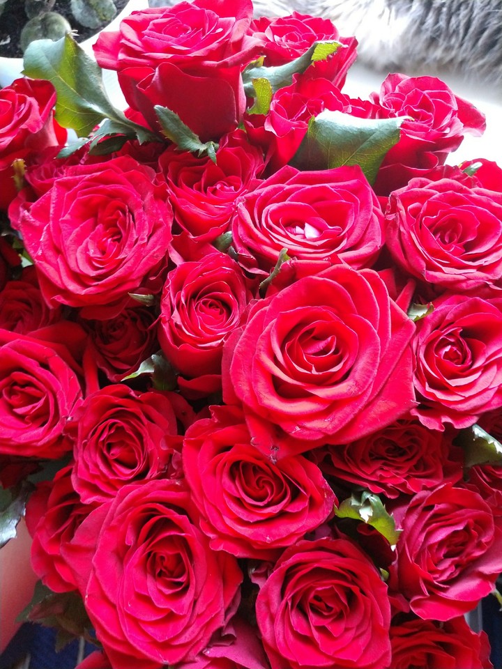 rose