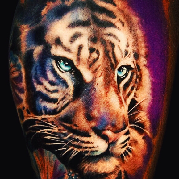 tiger