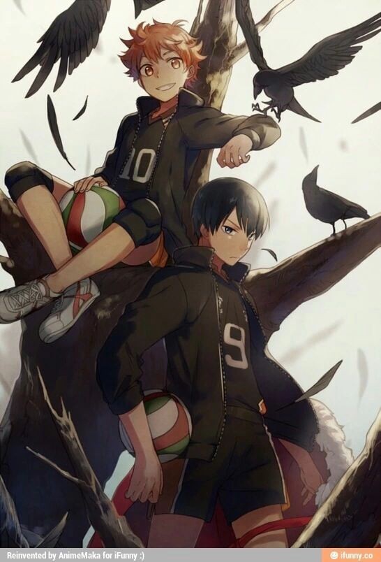 haikyuu!!