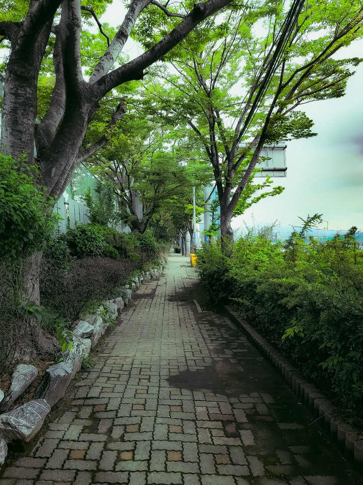 보행로