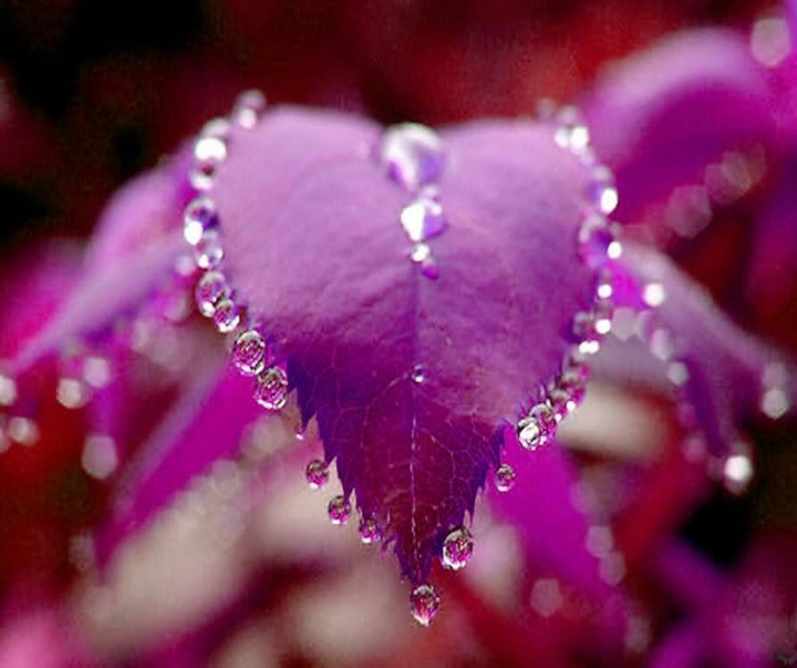 purple