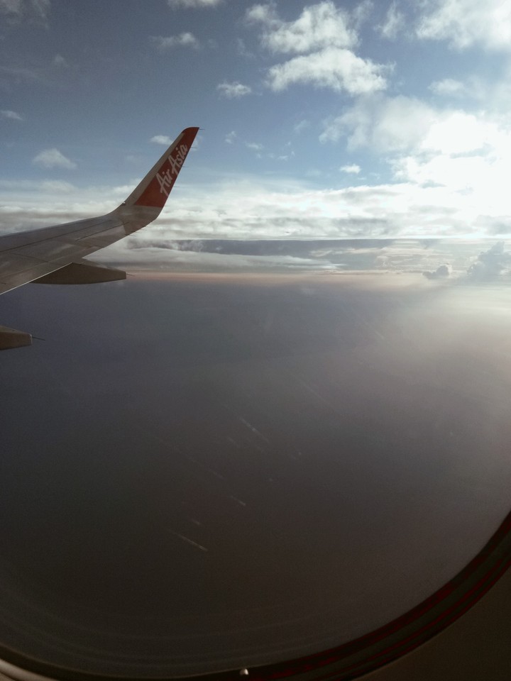 fly