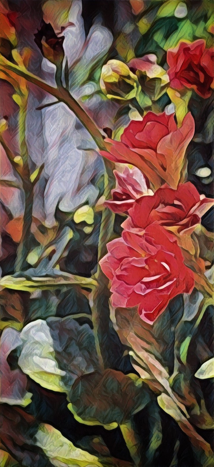 Red Flowers
