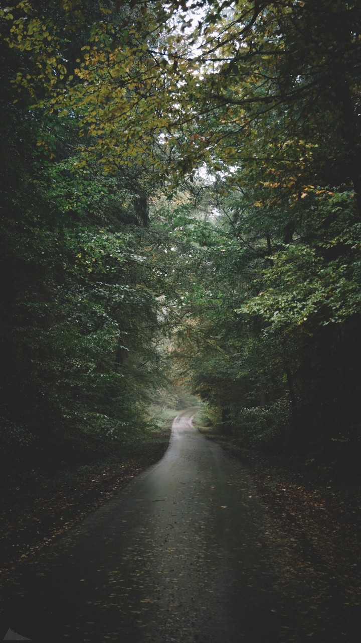 All time on the Road