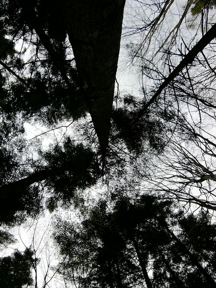 White Sky