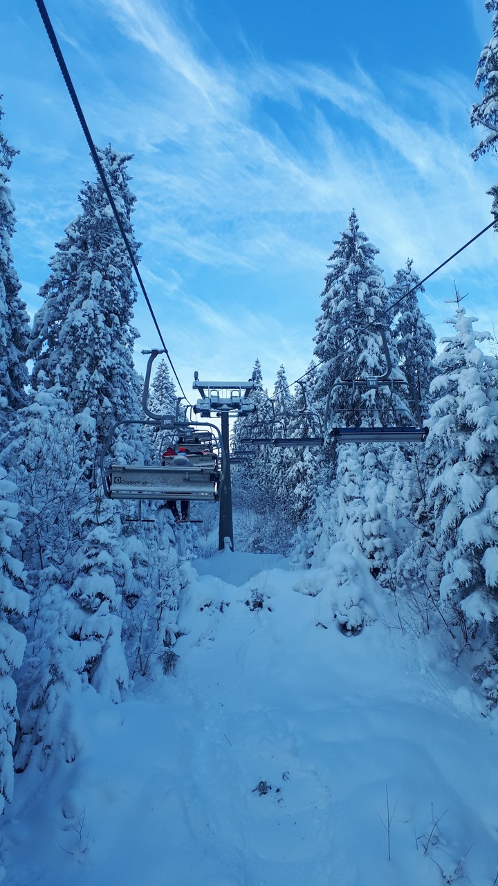 winter wonderland