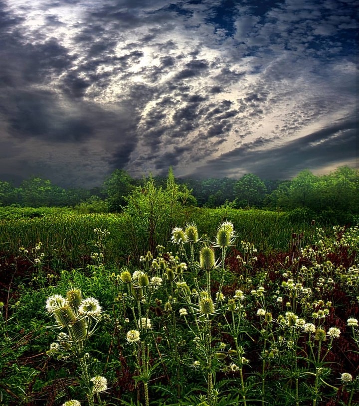 Cloudy