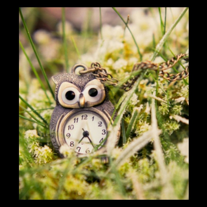 owl clock