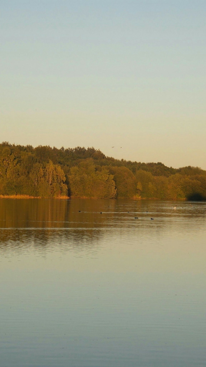 Norfolk