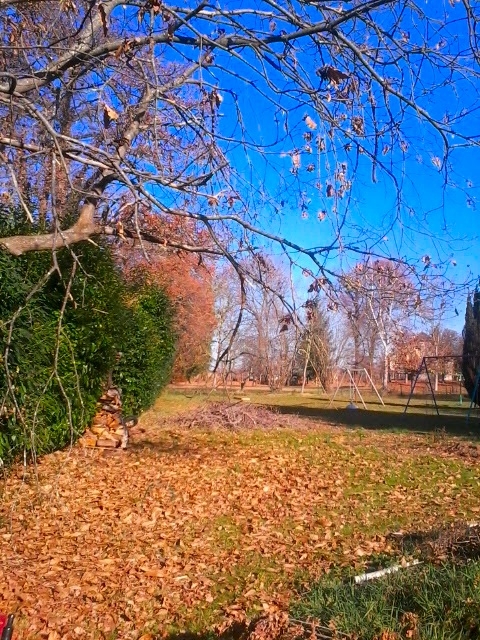 autumn...