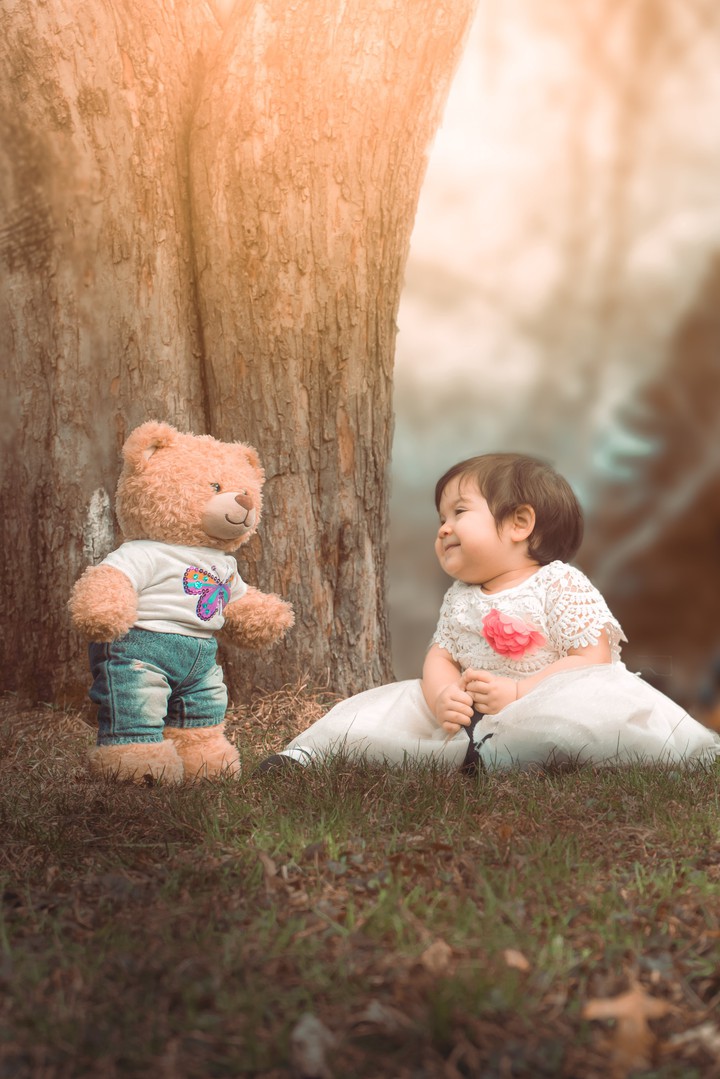 Teddy