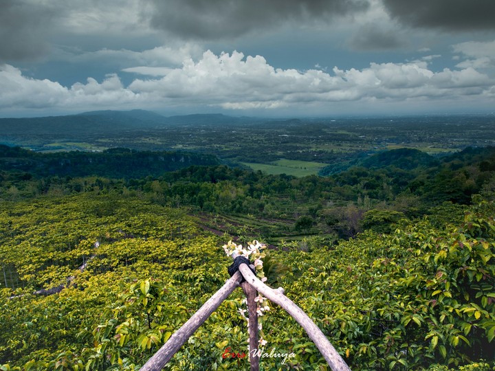 Beautiful Landscape