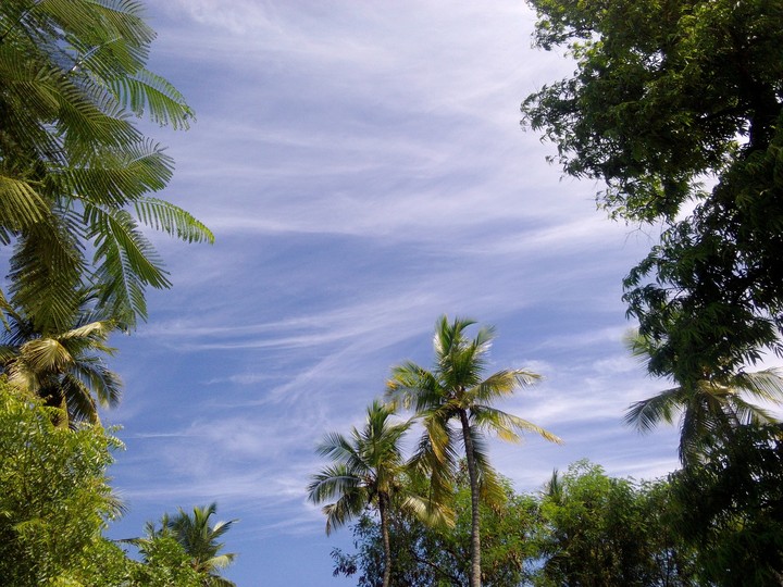 sky