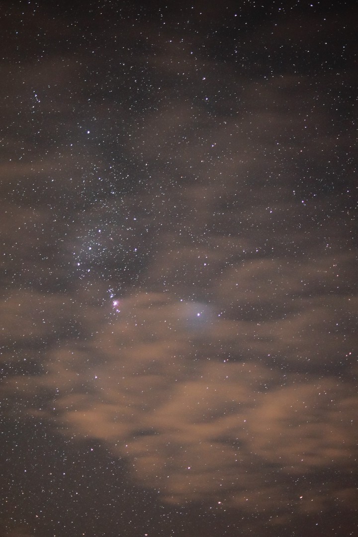 Orion