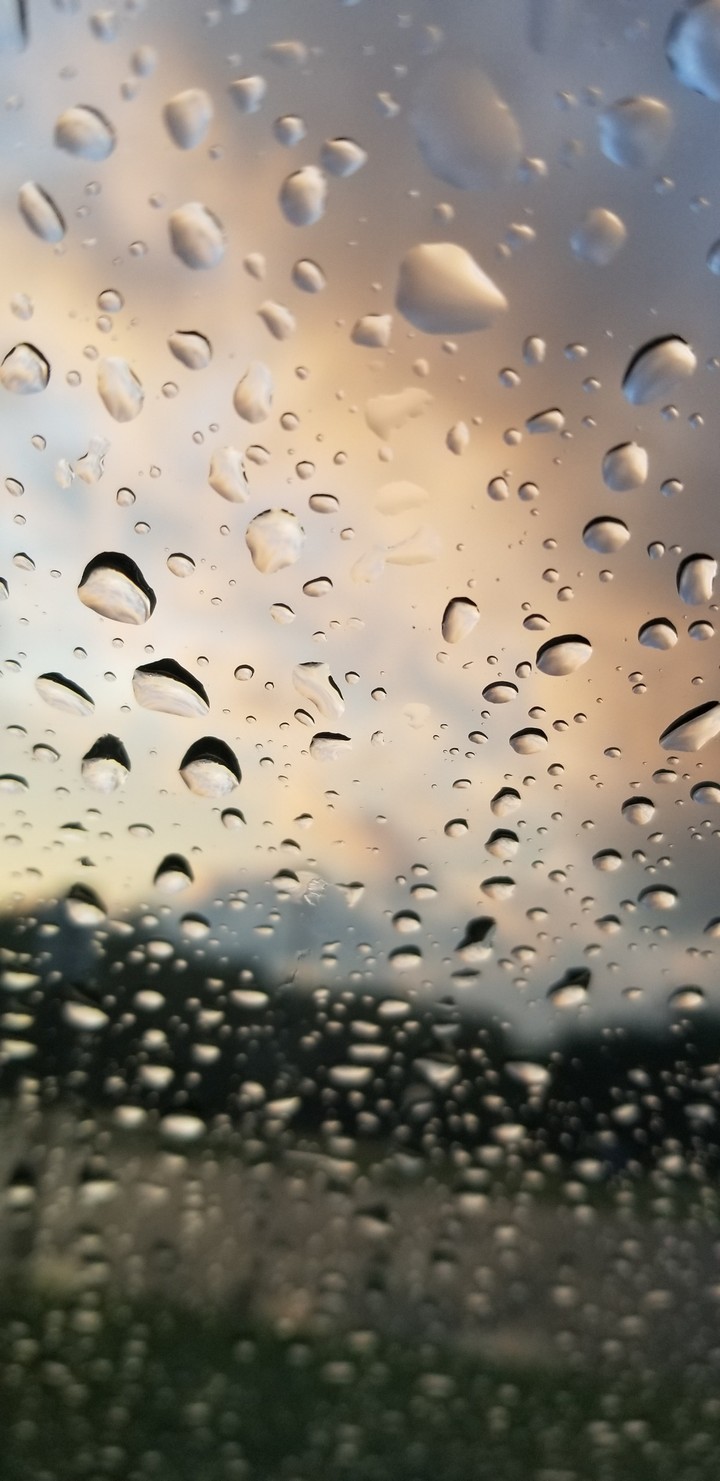rain drops