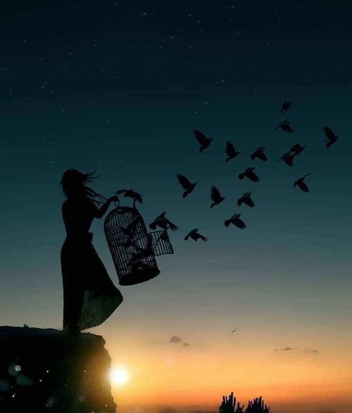 Birds