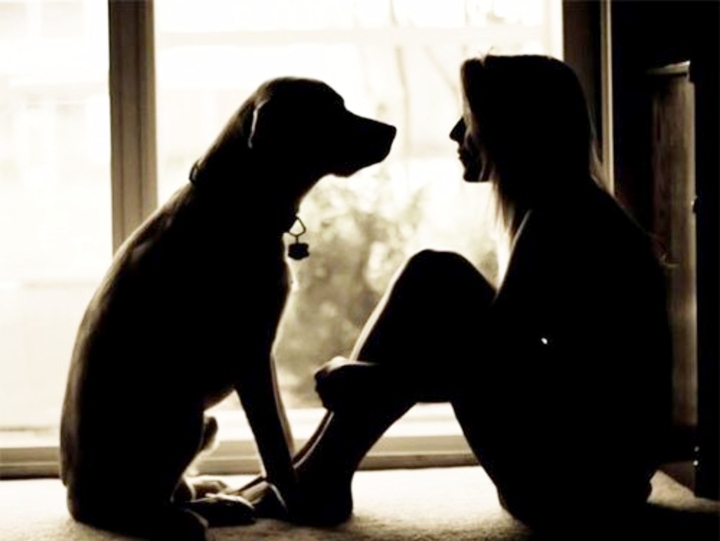 Loyal Friend