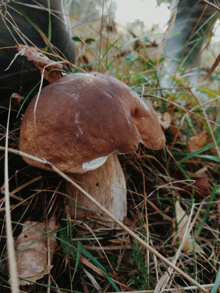 September