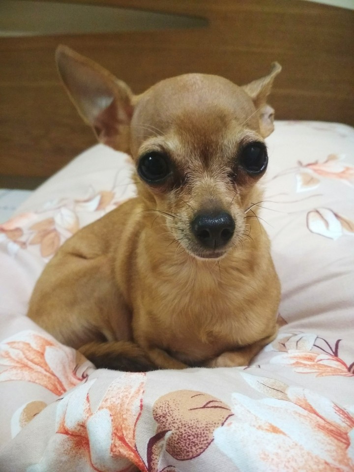 little lady