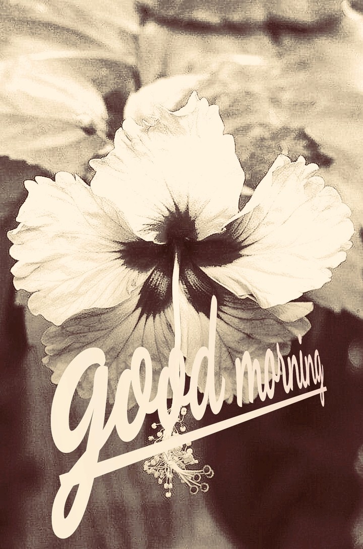 gm