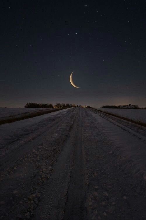 Mysterious winter night
