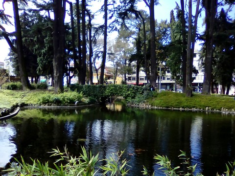 רקעים nature, bayou