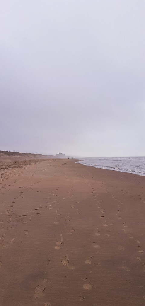 Mysterious northern beach