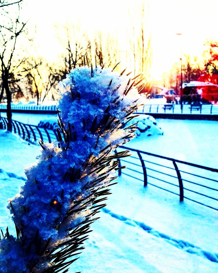 winter