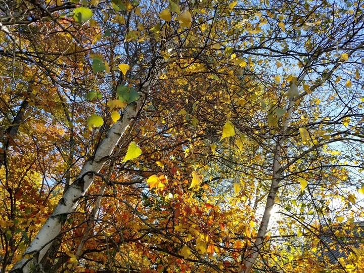 Sunny Fall day