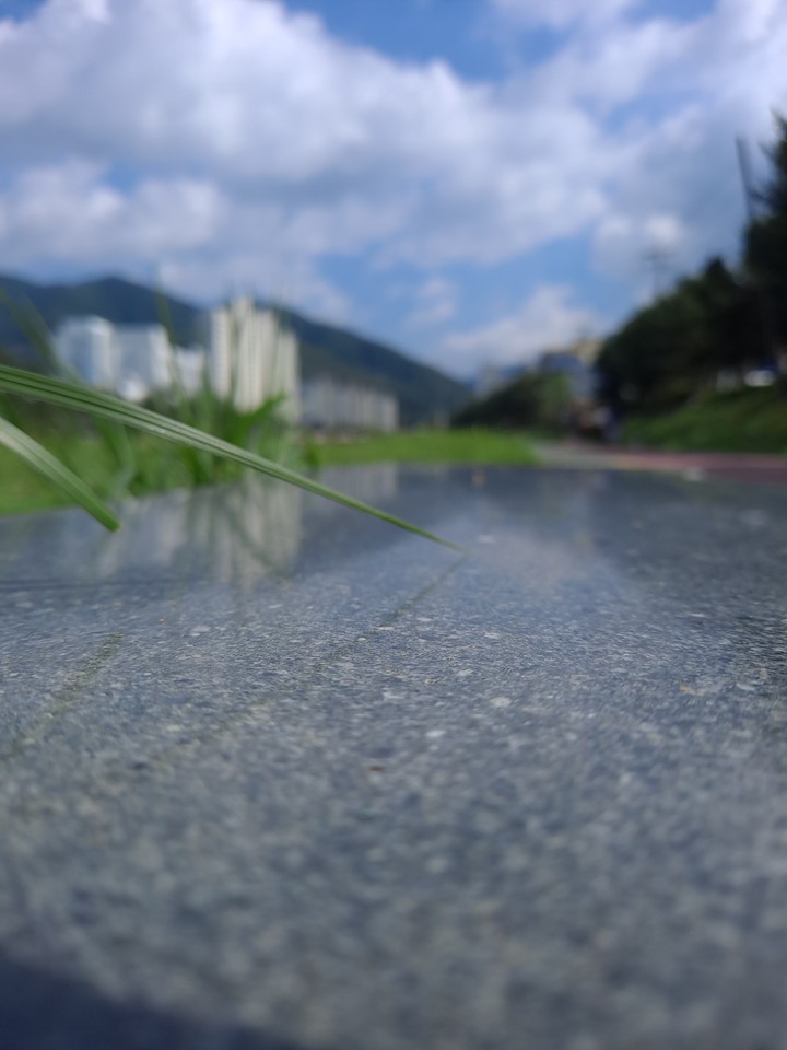 자연 Nature