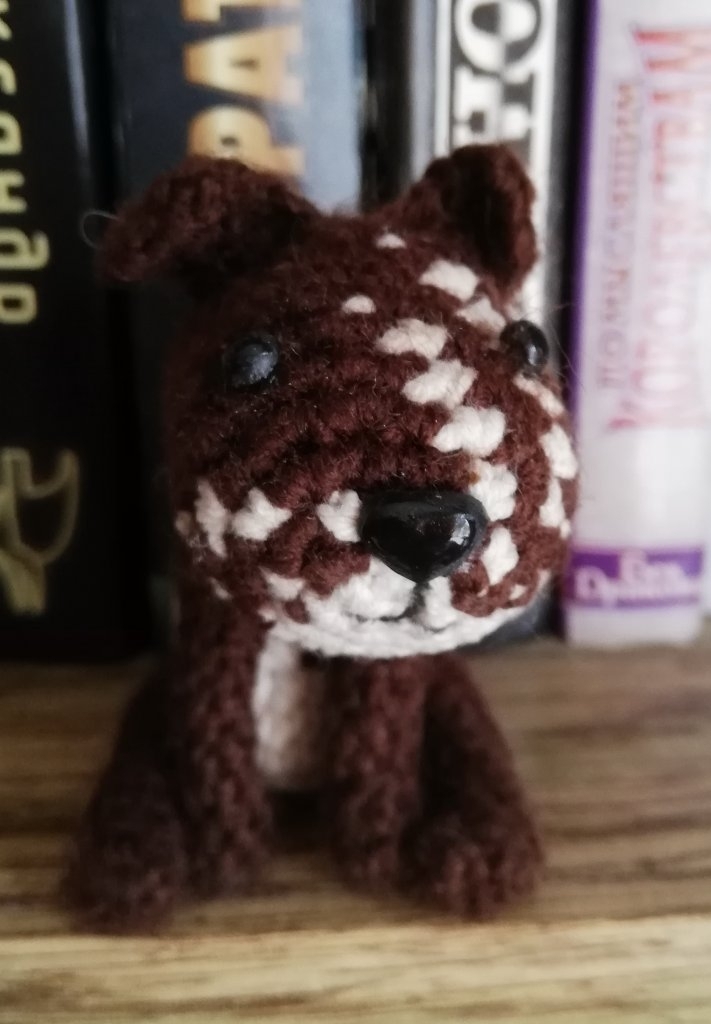 Puppy