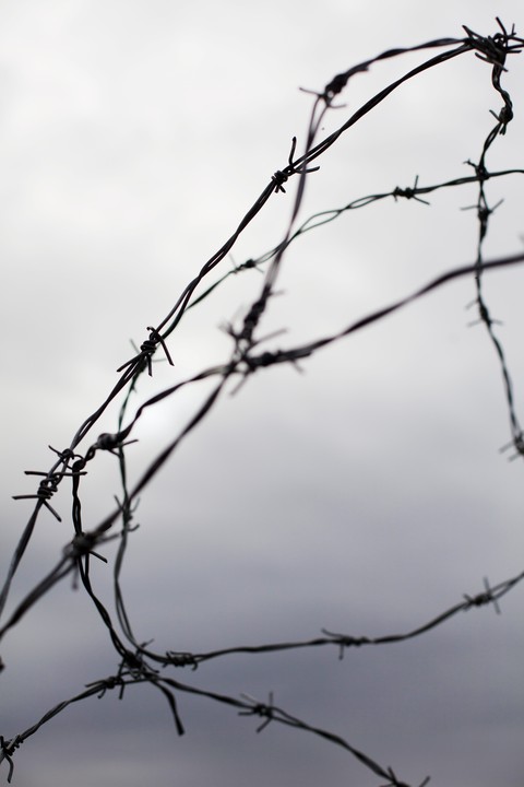 Wire