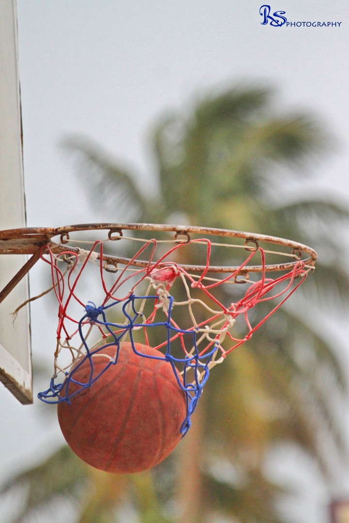 Basketball