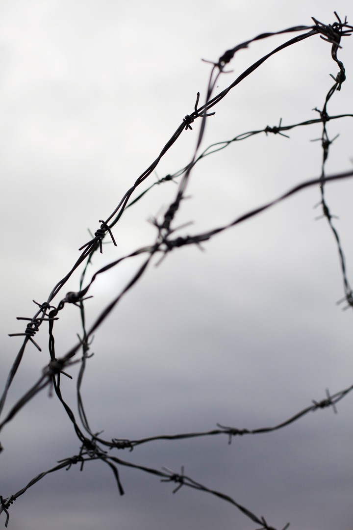Wire