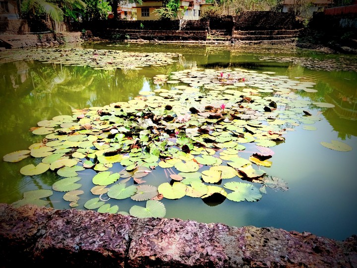 temple pond