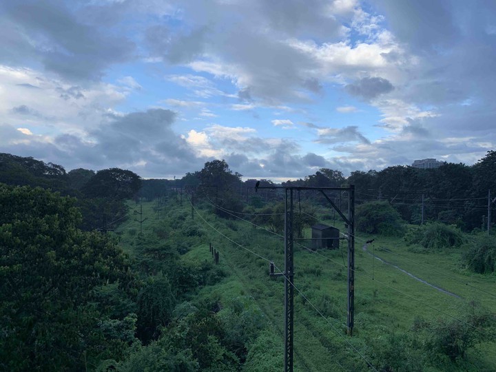 peaceful sight