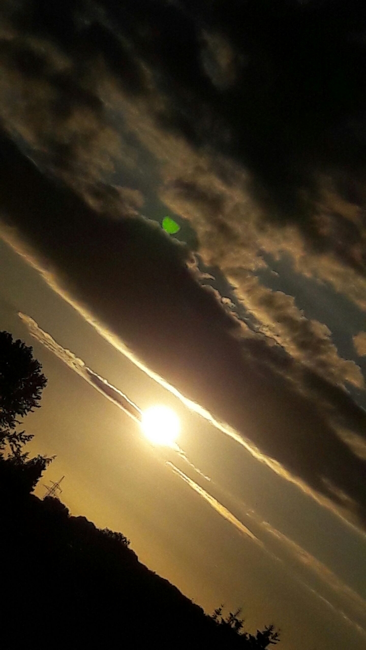 sunny