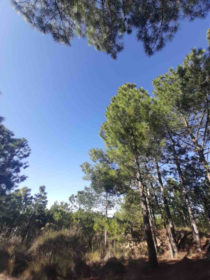 Sendero