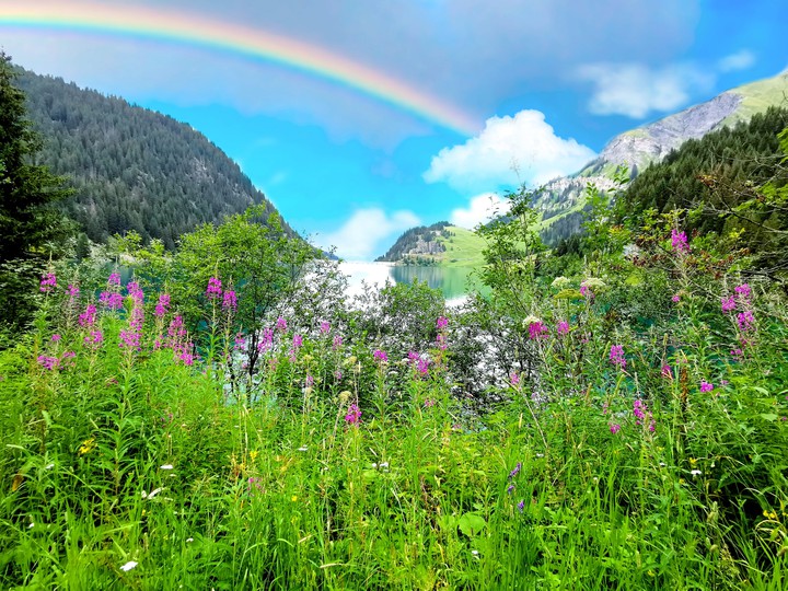 Sous un arc en ciel