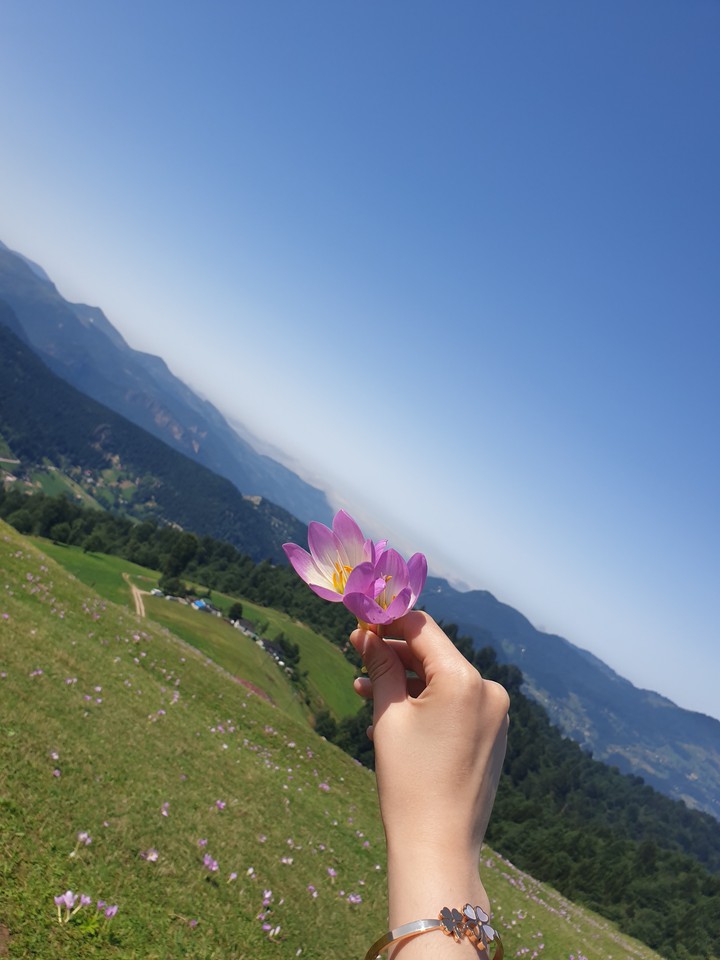 vargit flowers